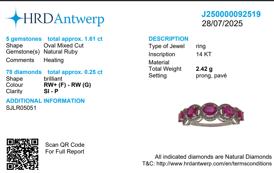 Ruby Halo Eternity Diamond Band Ring