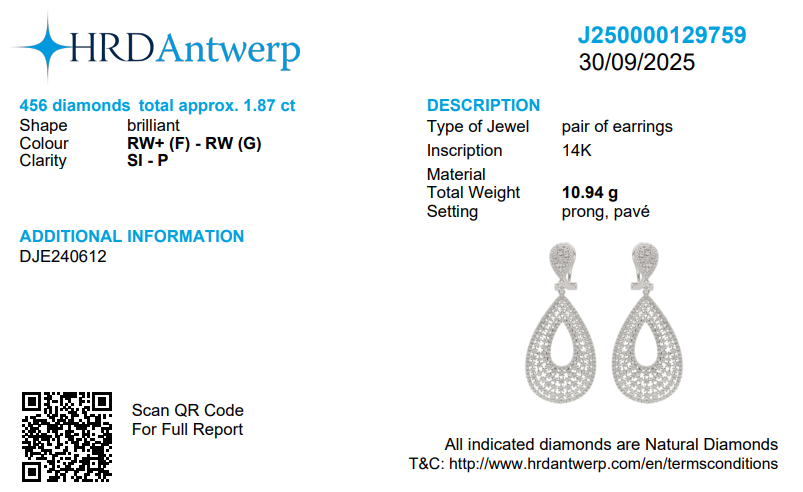 Teardrop Diamond Dangle Earring