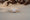 Load image into Gallery viewer, Halo Round Diamond Engagement Ring,

