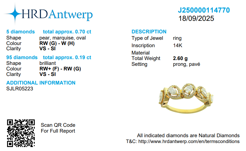 Multi Stone Halo Diamond Ring
