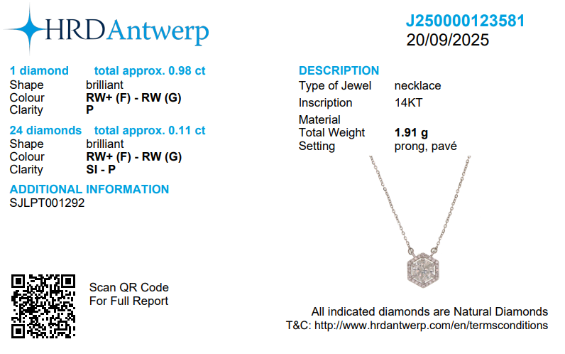 Hexagon Halo Solitare Pendant Necklace