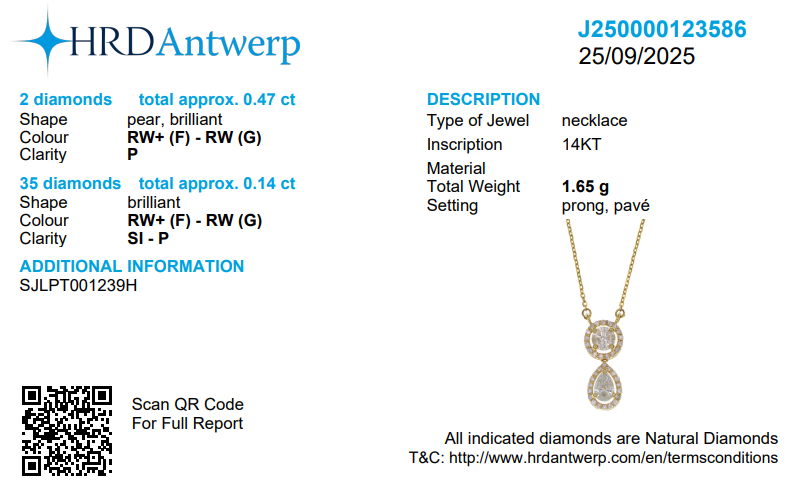Round Pear Halo Diamond Drop Necklace