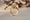 Load image into Gallery viewer, Round Engagement Diamond Ring, 14k Solid Gold, Solitaire Ring, Halo Eye Shape Design, Natural Diamonds, Gift For Her
