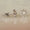 Load image into Gallery viewer, Kids Wheel Diamond Stud Earrings, 18k Solid Gold, Natural Diamonds, Kids Jewelry, Gift for toddlers, girls, and kids Gift For Her
